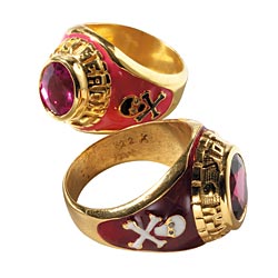 tracy dara kamenstein skull-and-crossbone school rings